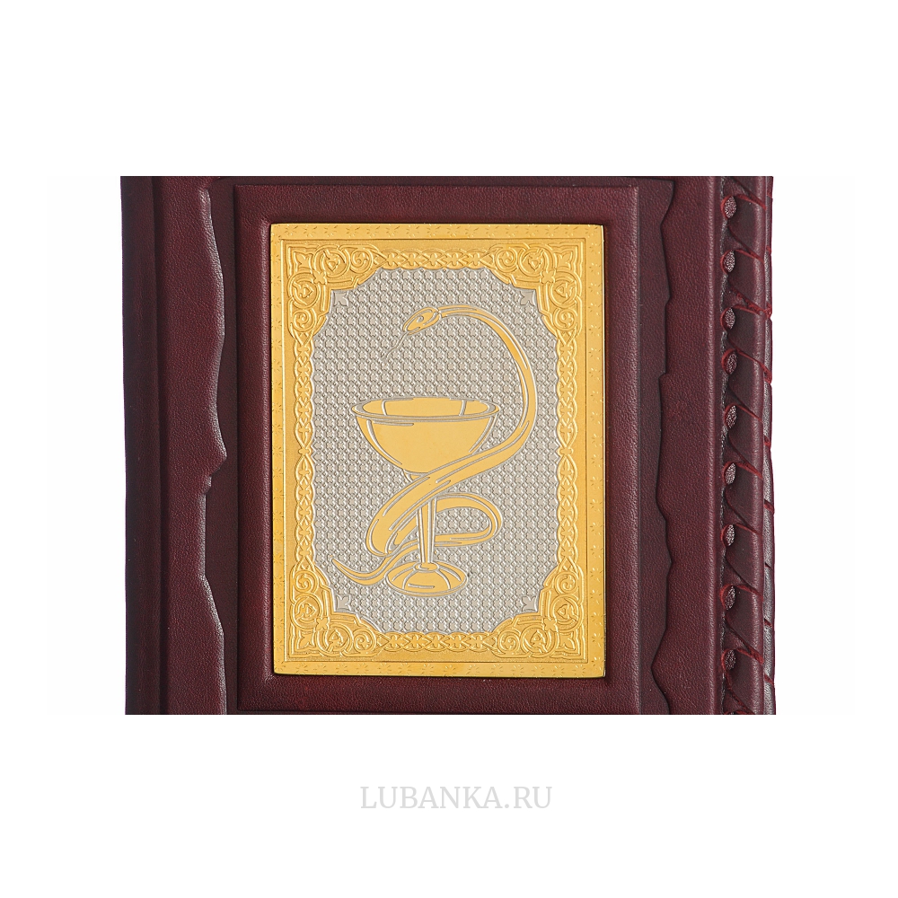 Обложка для паспорта «Медику»